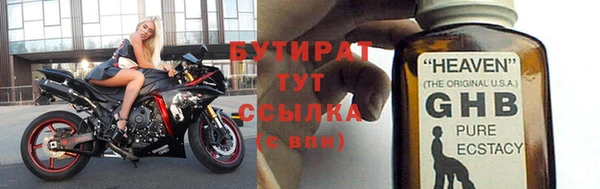 сатива Покачи